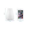 Misty Mood Maker Humidifier With Aroma Essential Oil Free